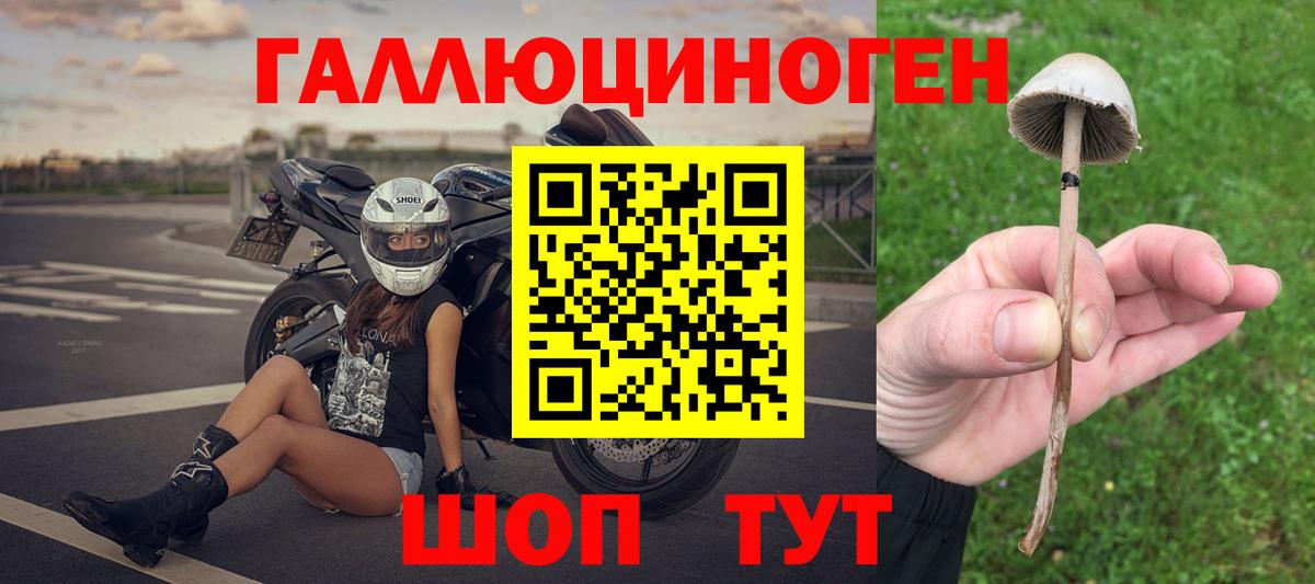 Галлюциногенные грибы Psilocybine cubensis Кимовск